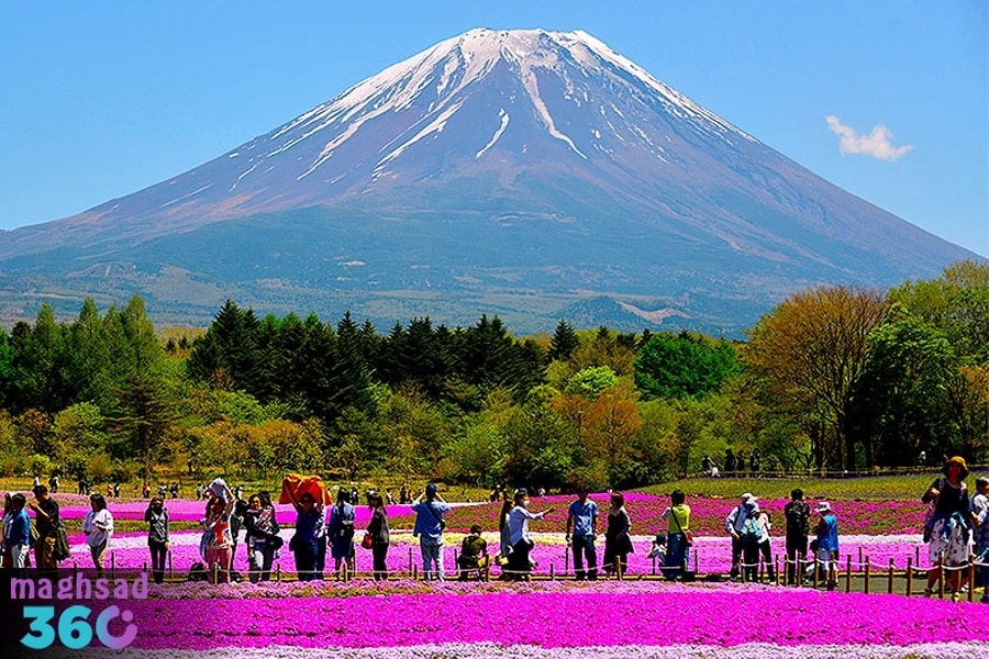سفر به ژاپن؛ بهترین کشور برای سفر در اردیبهشت
