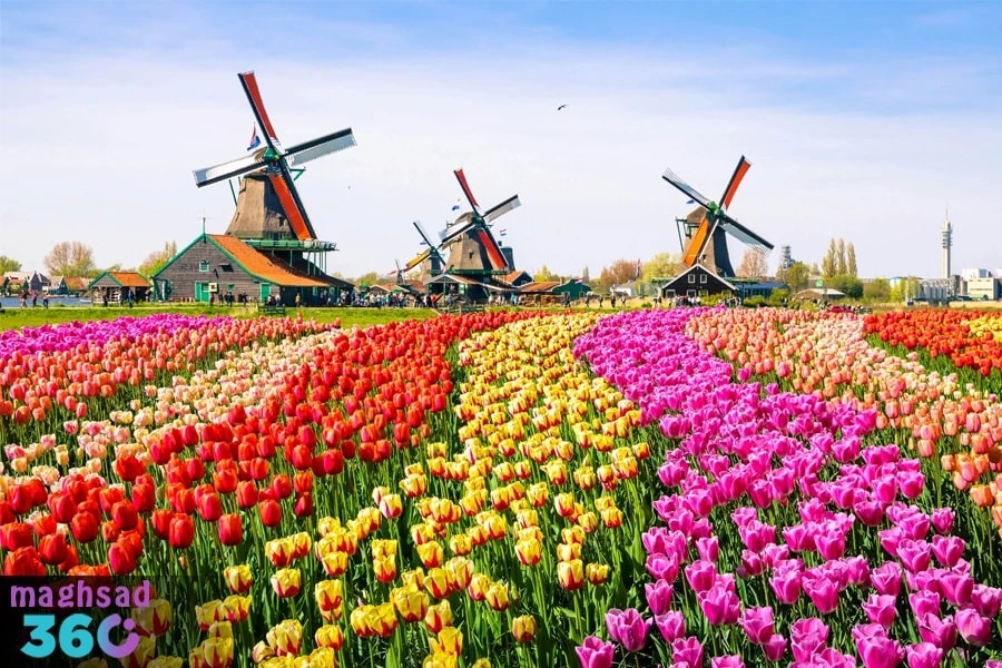 سفر به هلند؛ بهترین مقصد سفر خارجی در اردیبهشت