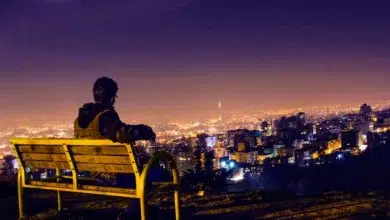 بام تهران