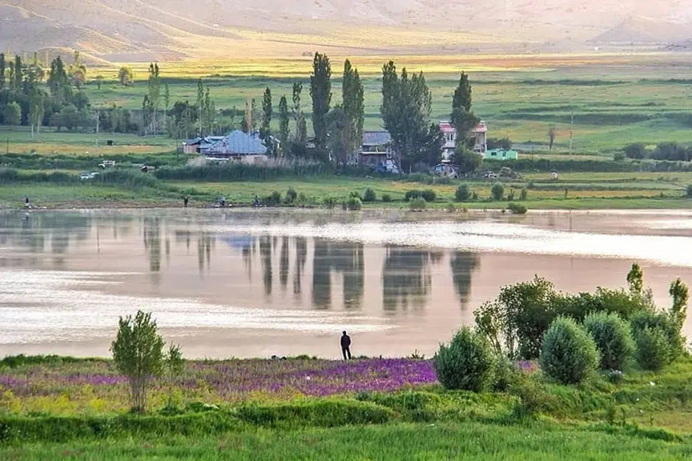 روستای سله بن 