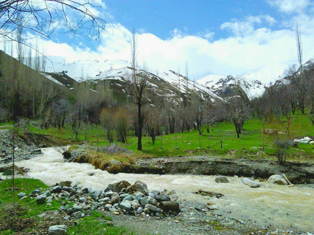 زرین‌دشت