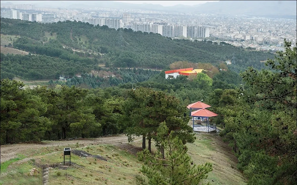 پارک جنگلی لویزان